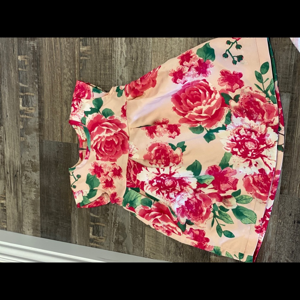 Dressy little girls dress.